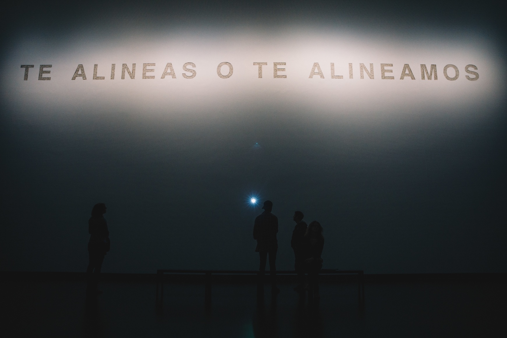 TERESA MARGOLLES, Te alineas o te alineamos, 2019