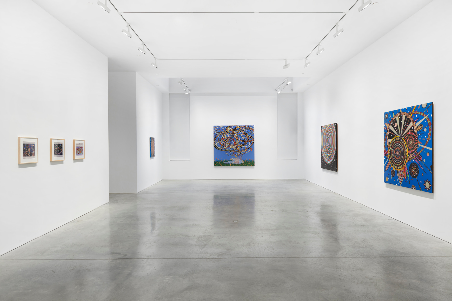 Installation view,&nbsp;Fred Tomaselli, 48 Walker St, October 23 - November 21, 2020