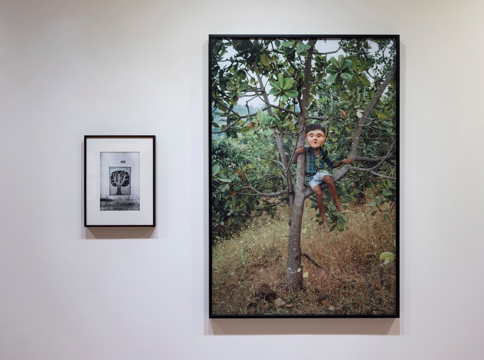 Installation View,&nbsp;Projects 108: Gauri Gill,&nbsp;MoMA PS1, Long Island City, New York,&nbsp;Apr&nbsp;15&ndash;Sep&nbsp;3, 2018