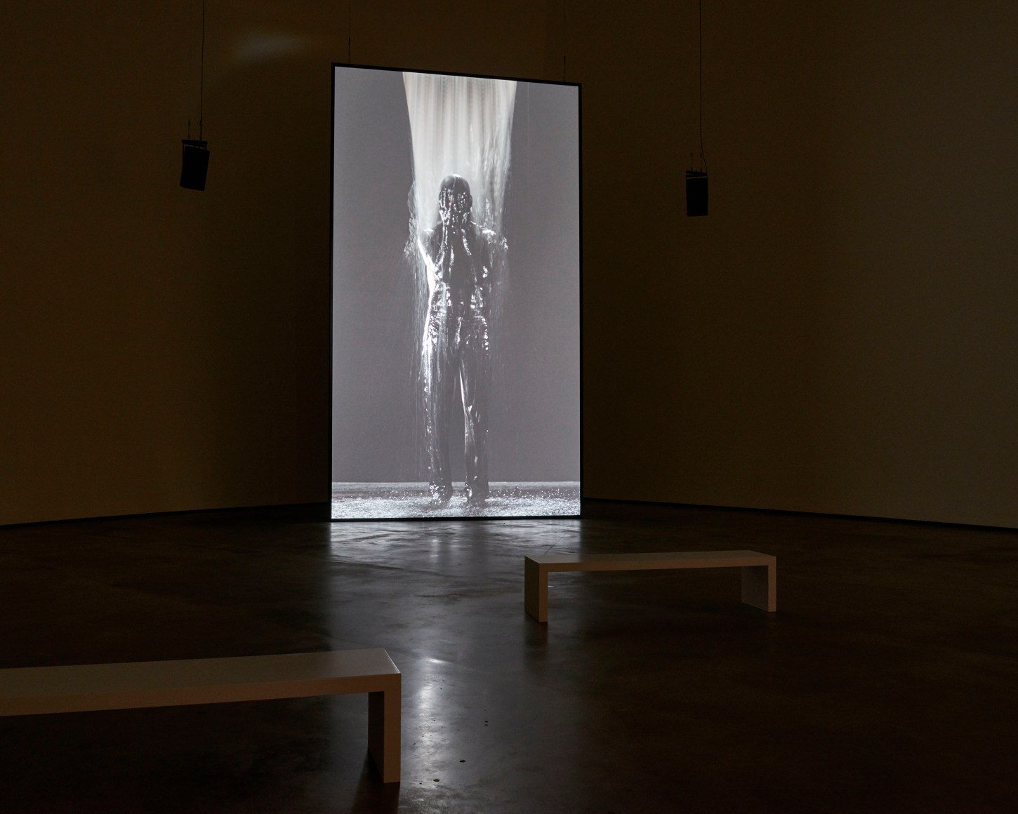 Bill Viola: A Retrospective 