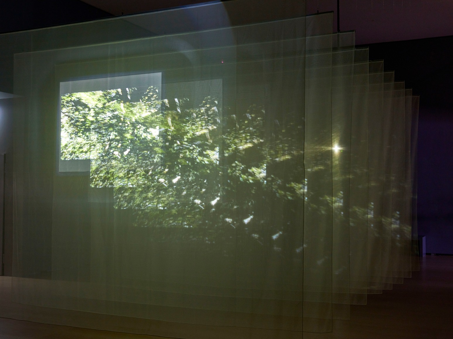 Bill Viola: A Retrospective 