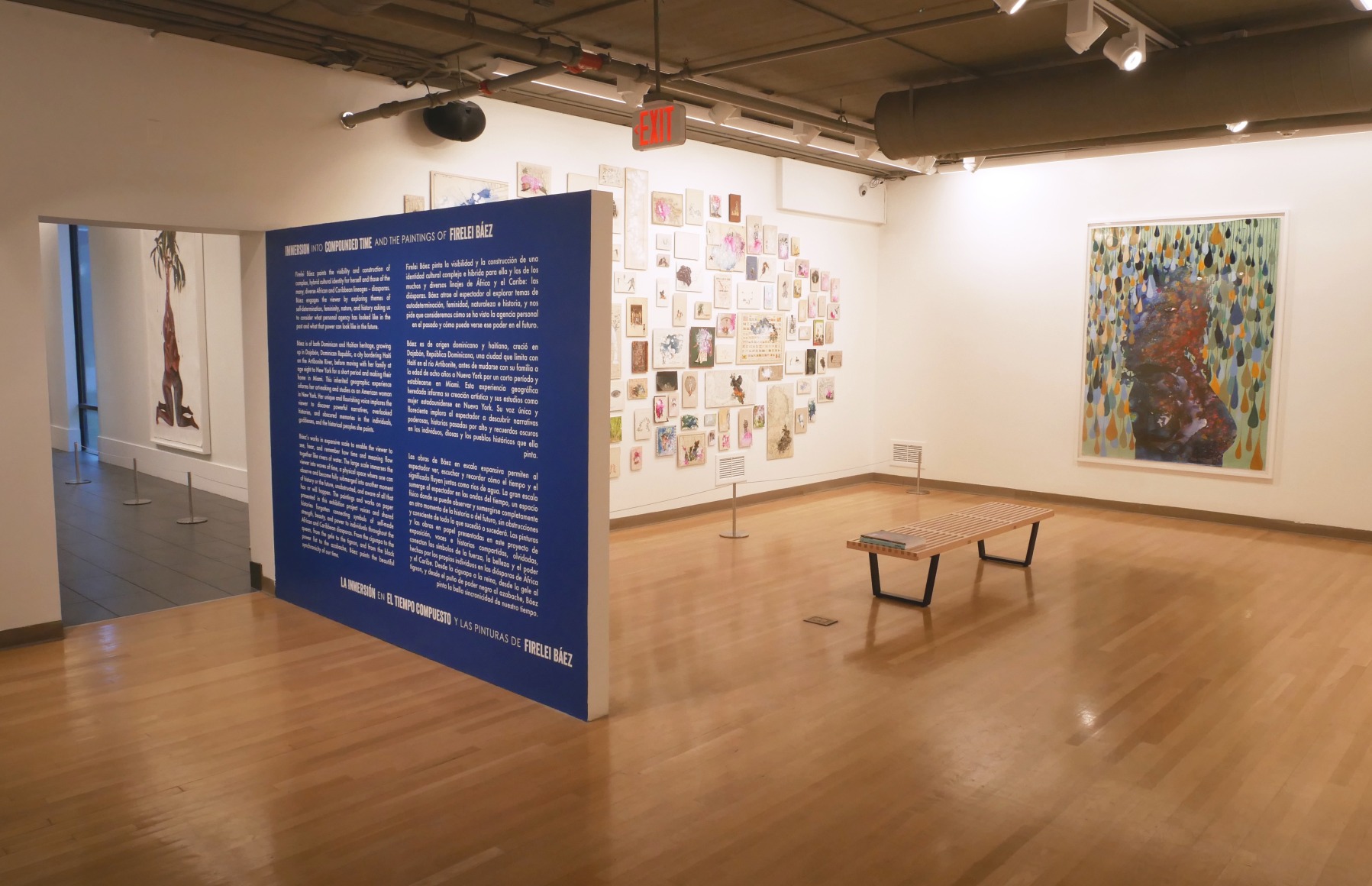 FIRELEI BÁEZ, Installation view: Immersion into Compounded Time and the Paintings of Firelei Báez, Mennello Museum of American Art, June 7 – September 1, 2019