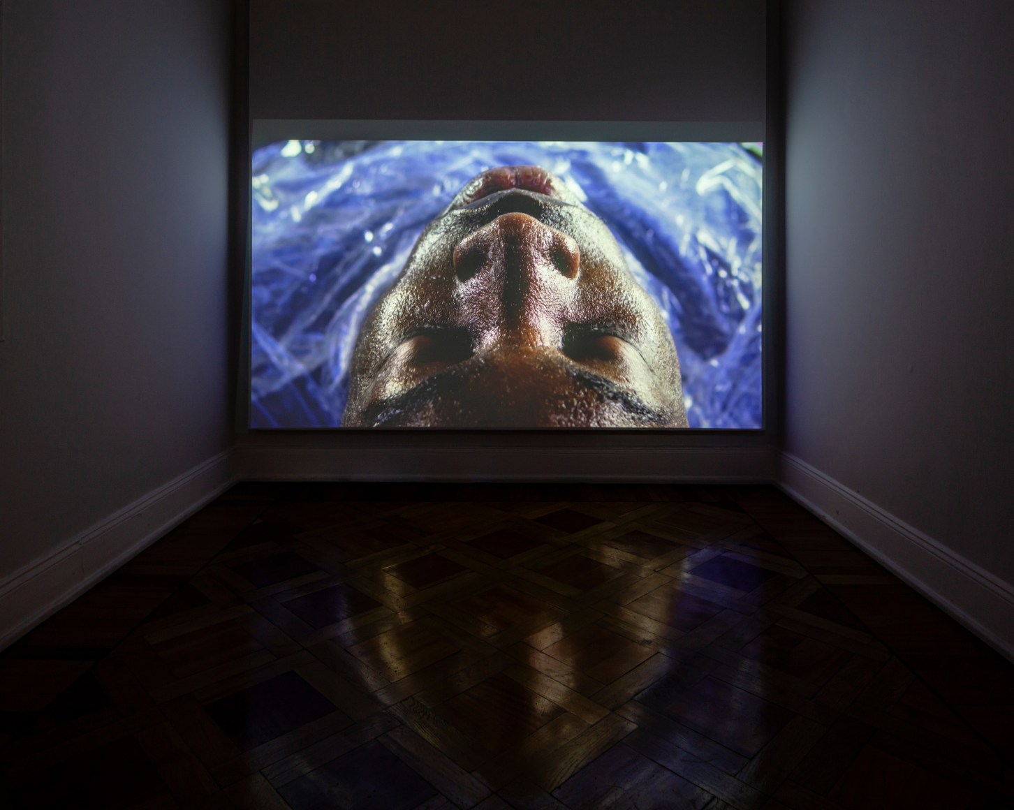 TERESA MARGOLLES, Installation view: La Carne Muerta Nunca Se Abriga, Museo de la Solidaridad Salvador Allende, Santiago de Chile, August 31, 2019 - February 2, 2020