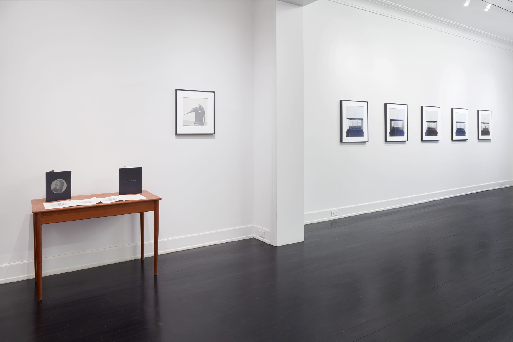 Troy Brauntuch, A Strange New Beauty