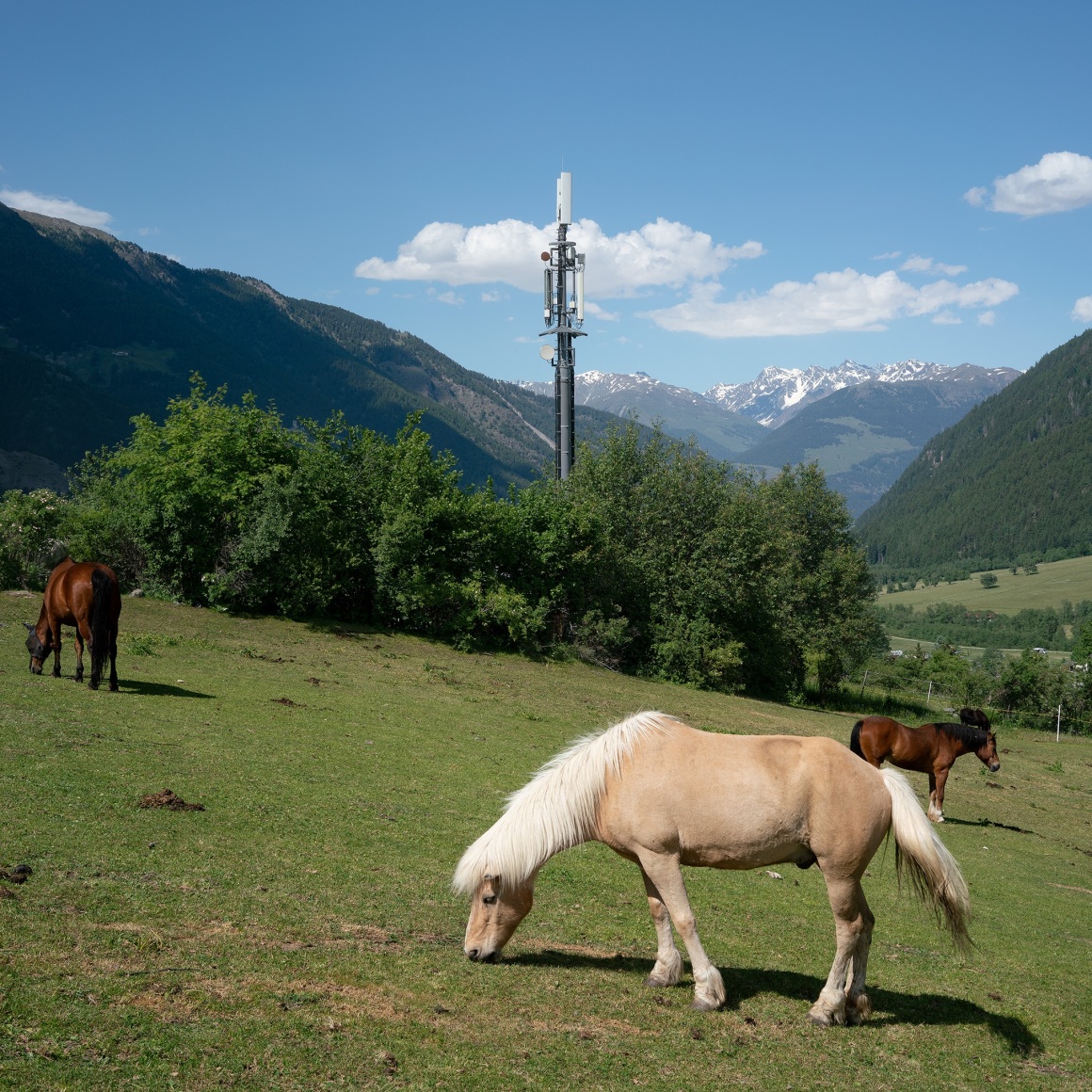 Thomas KNEUBÜHLER, Alpine Signals (Müstair), 2-21