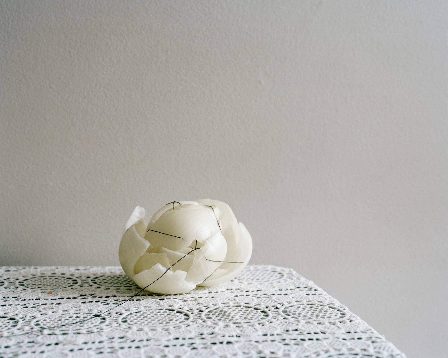 JINYOUNG KIM | FATHER | A CONVERSATION | C-PRINT | 20 X 24 INCHES | 2013