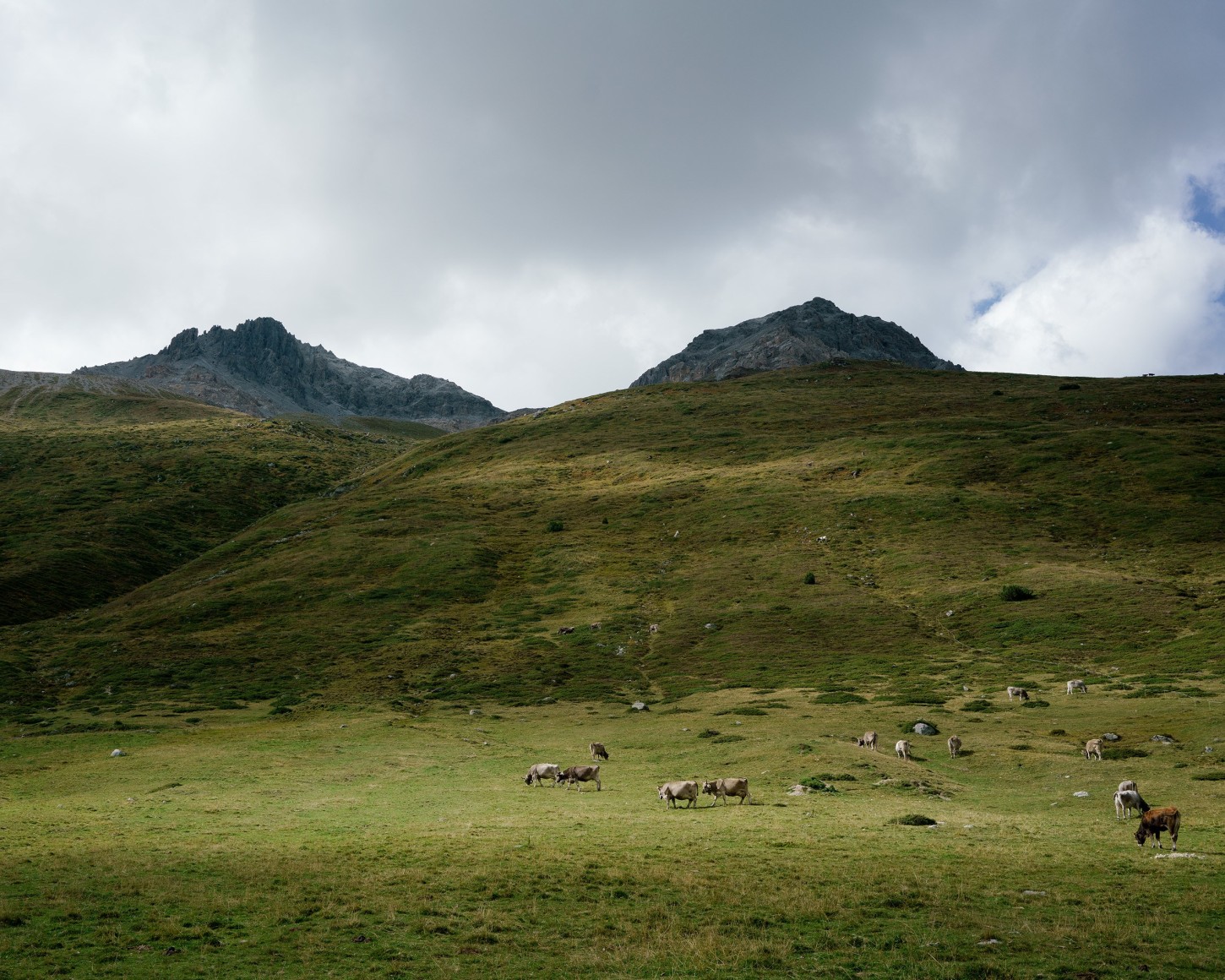 Thomas KNEUBÜHLER, Funkloch (Alp Astras #2), 2021
