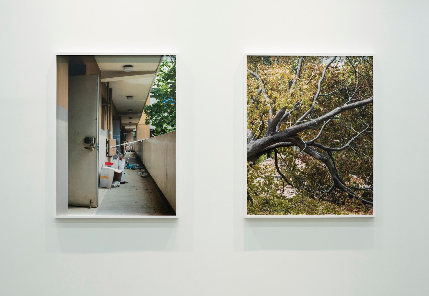 JINYOUNG KIM | APPARITIONS OF COLLECTIVE DISPOSITION | INSTALLATION VIEW | PATRICK MIKHAIL GALLERY | MONTR&Eacute;AL, &nbsp;