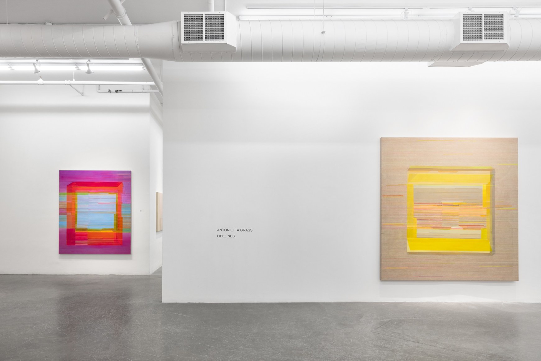 ANTONIETTA GRASSI | LIFELINES | INSTALLATION VIEW | PATRICK MIKHAIL GALLERY, &nbsp;