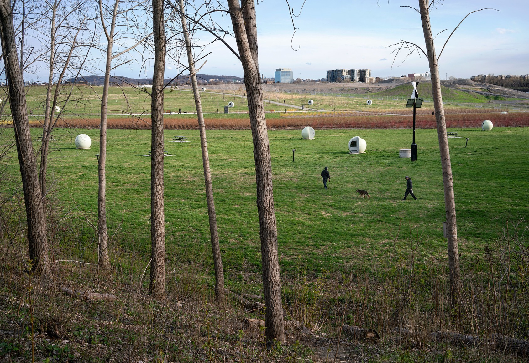 THOMAS KNEUB&Uuml;HLER | M&Eacute;TAMORPHOSE | INKJET PRINT | 58 X 40 INCHES | 2020, &nbsp;