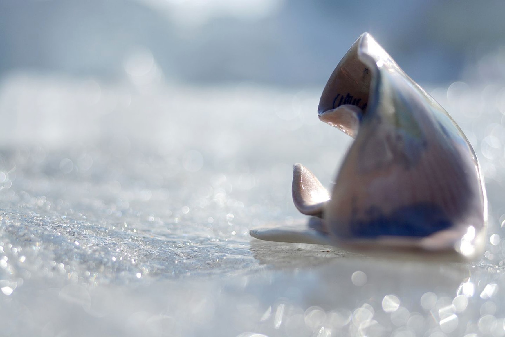 EVE K. TREMBLAY | DANSE DES GALETS - ROCHES COURBES | ARCHIVAL PIGMENT PRINT | 25&nbsp;X 16.5&nbsp;INCHES | &nbsp;2019, &nbsp;