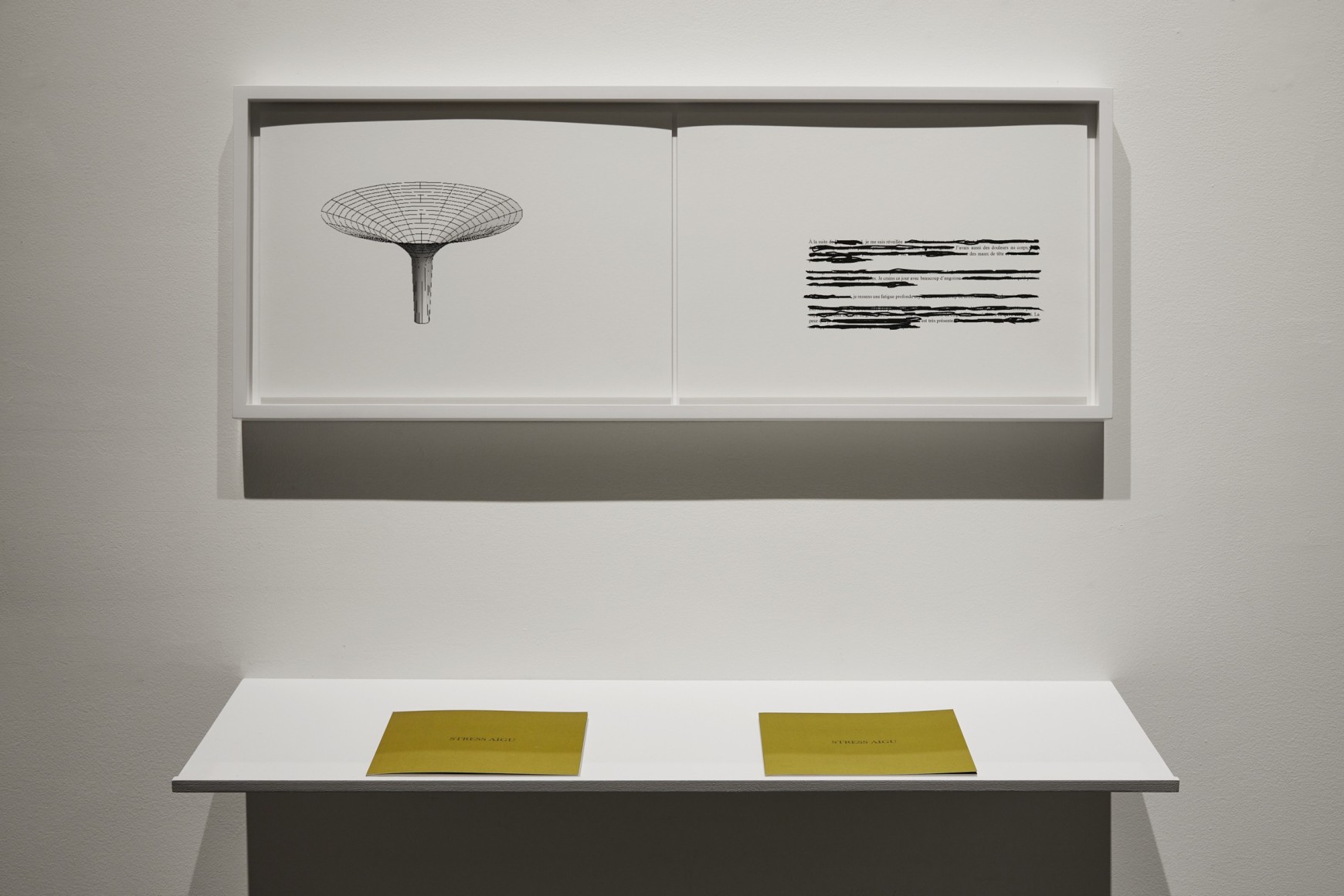 NATASCHA NIEDERSTRASS | STRESS AIGU (INSTALLATION) | ARTIST BOOK | 2023