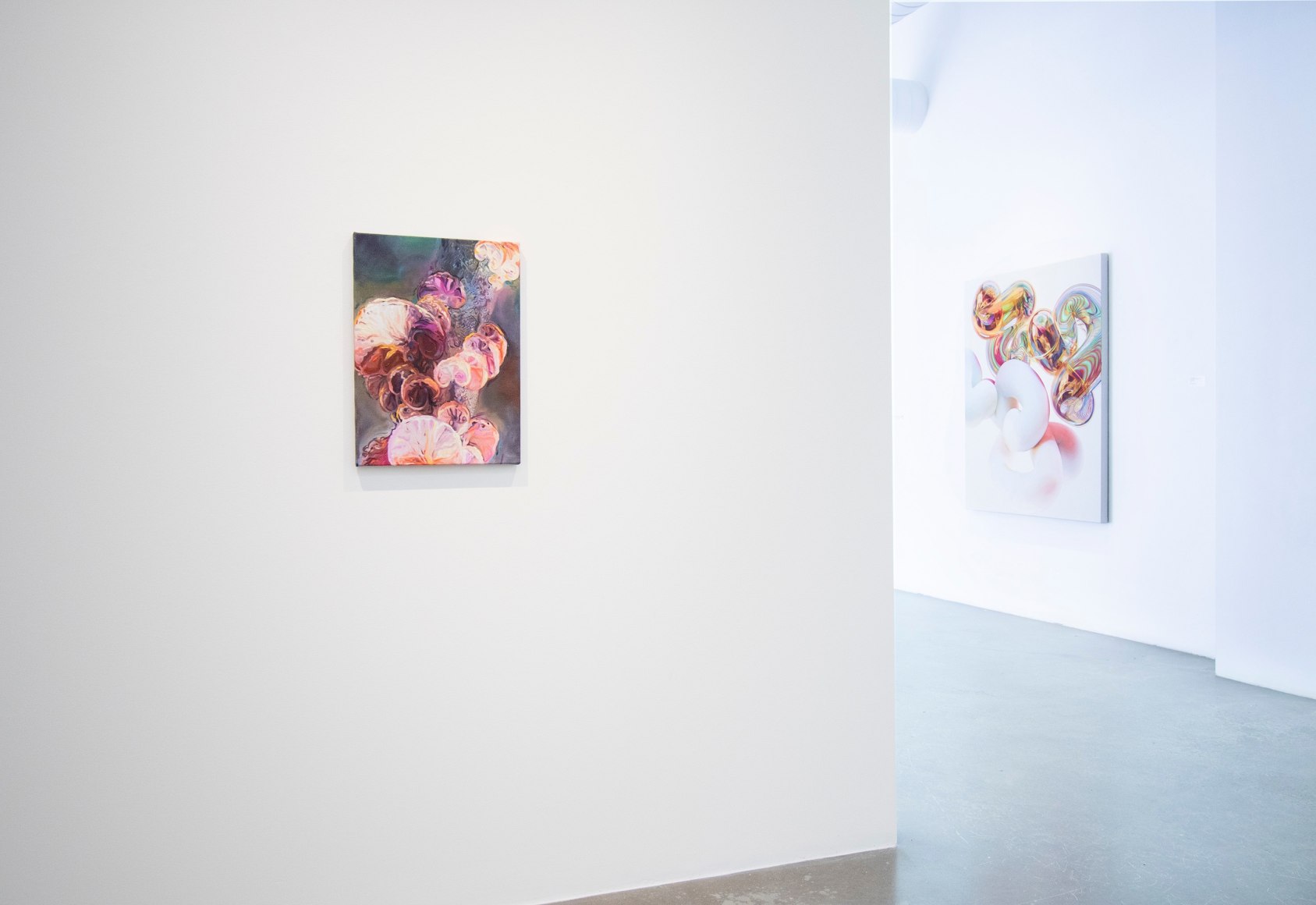 THE THEORY OF NETWORKS | INSTALLATION VIEW | PATRICK MIKHAIL | MONTRÉAL