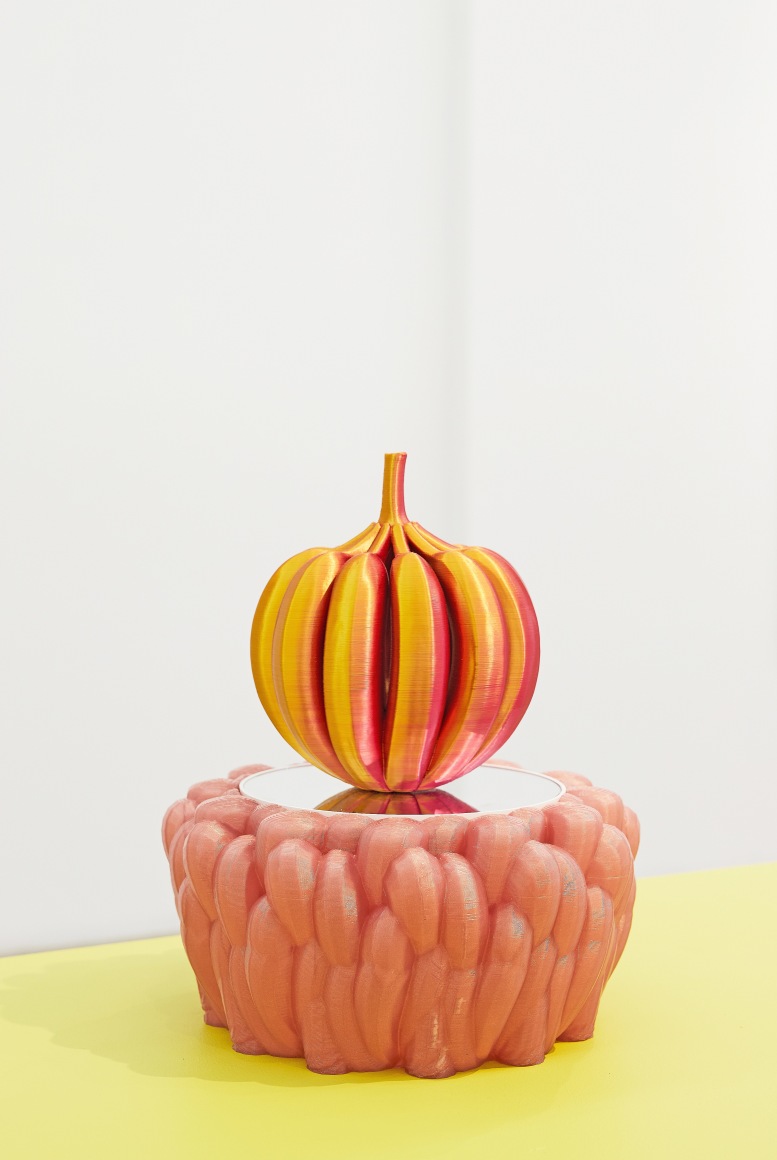 GRACELEE LAWRENCE | TRANSOBJECTIONAL | VUE D'INSTALLATION | PATRICK MIKHAIL | MONTRÉAL,  