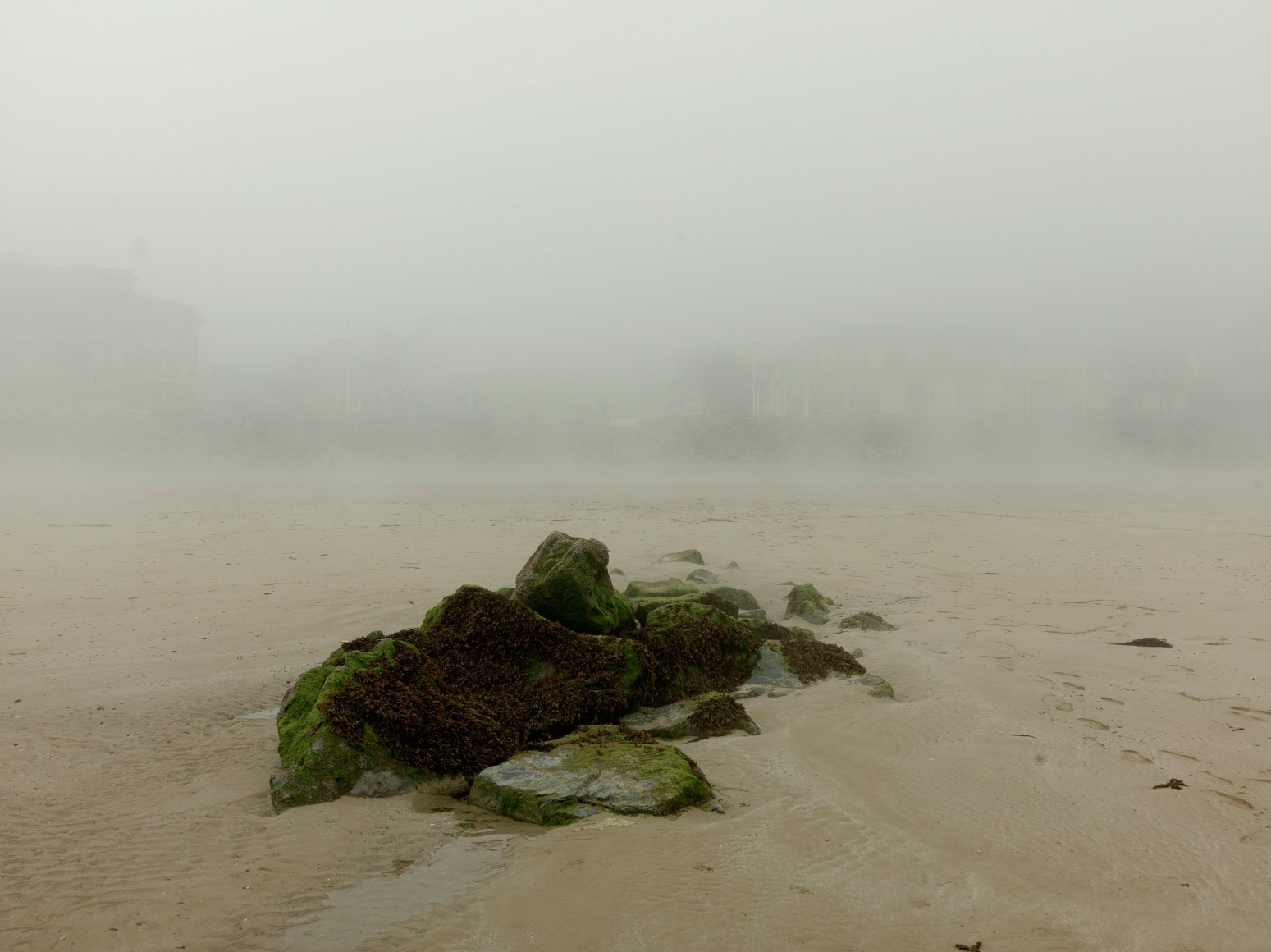 THOMAS KNEUBÜHLER | LANDING SITES (FRANCE) | C-PRINT | 40 X 60 INCHES | 2018
