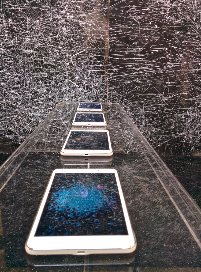 VOLTA 10 BASEL | ANIMATE GROUNDS | AMY SCHISSEL | INSTALLATION VIEW