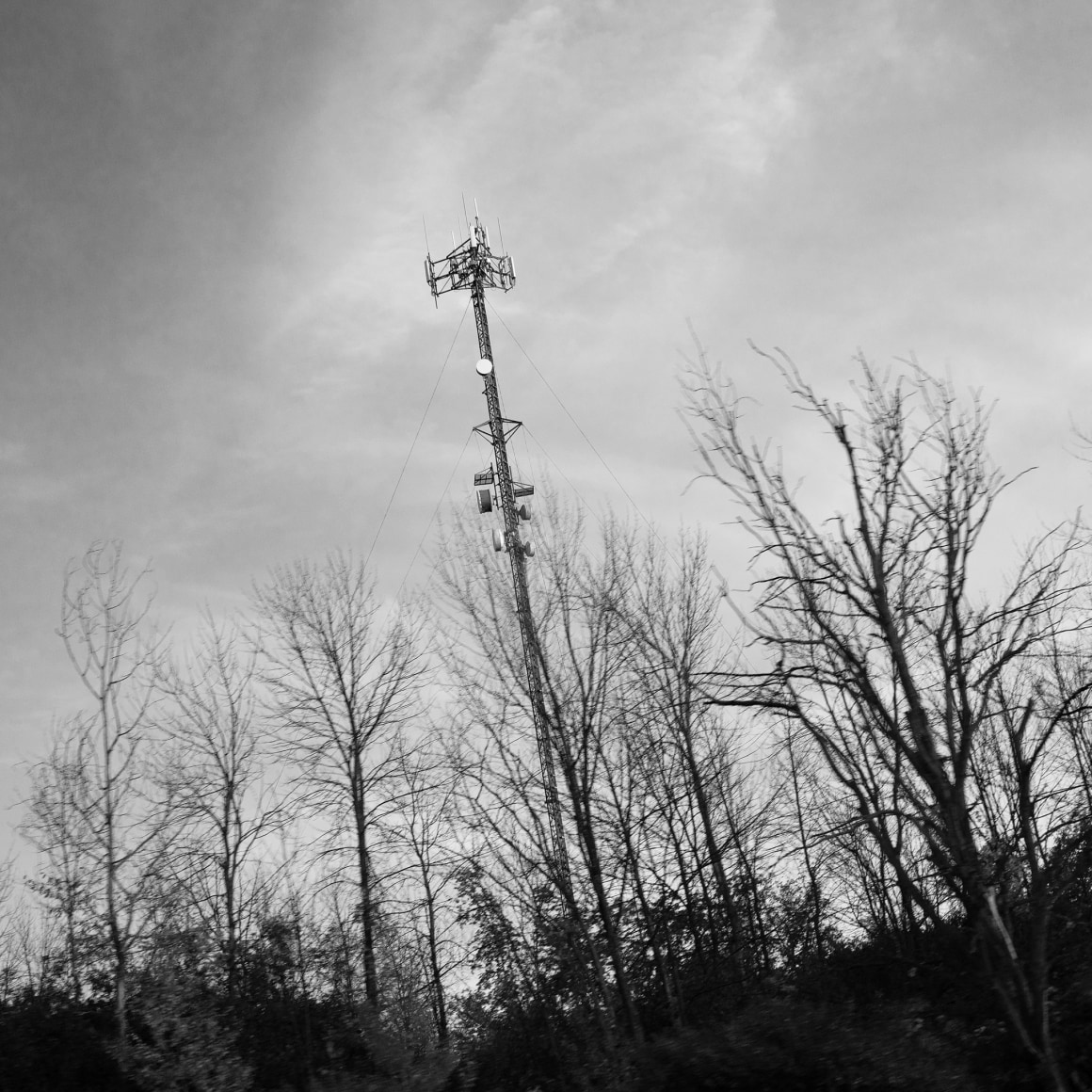 Thomas KNEUBÜHLER, Cell Tower 401, 2021