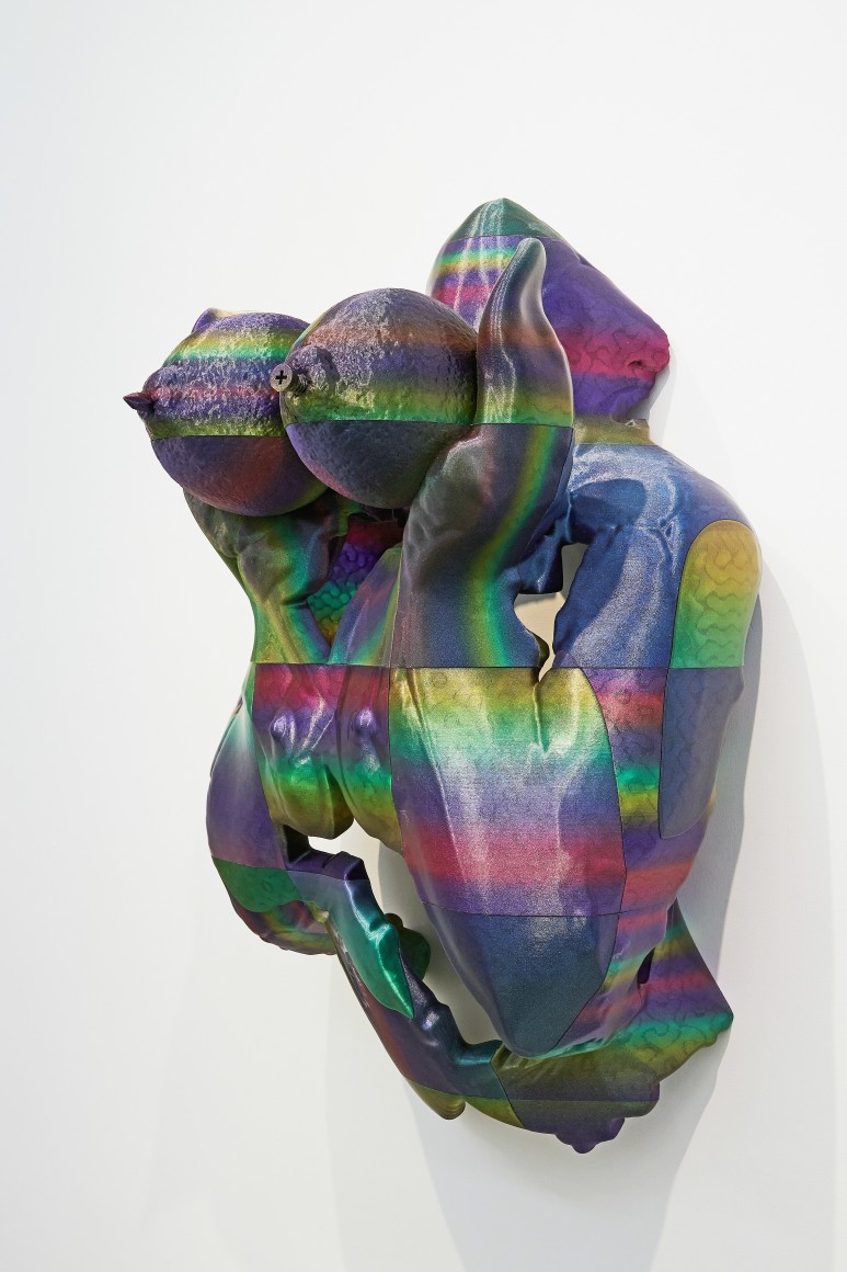 GRACELEE LAWRENCE | TRANSOBJECTIONAL | VUE D'INSTALLATION | PATRICK MIKHAIL | MONTRÉAL,  