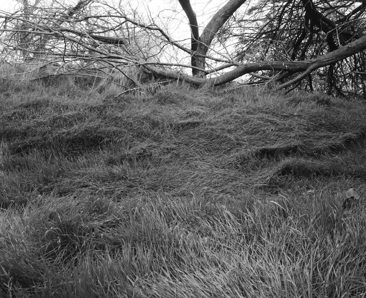Hideout, 2023-24, Inkjet print, 68.5 x 80 cm