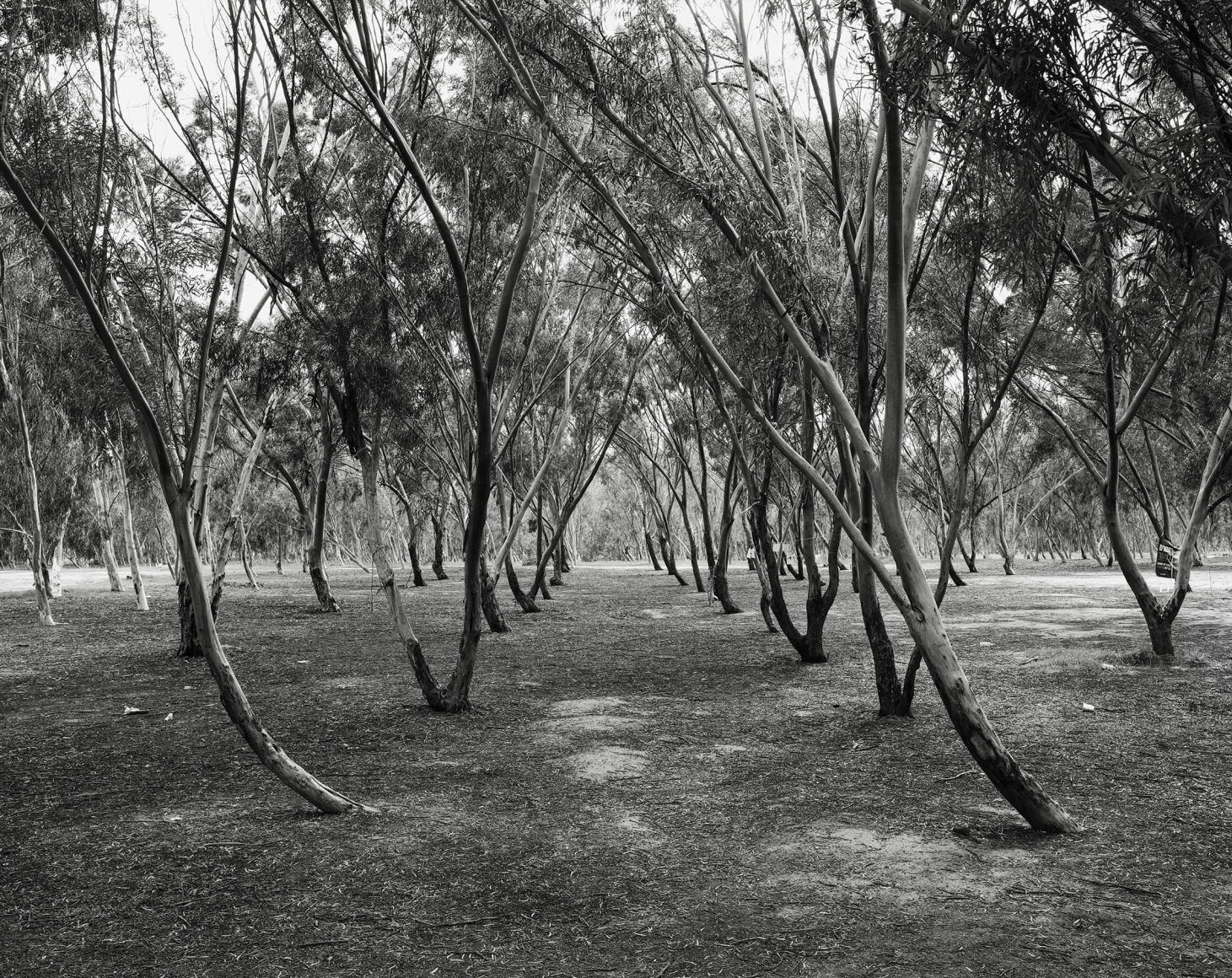  Re’im Parking Lot, 2024, Inkjet print, 108 x 135 cm