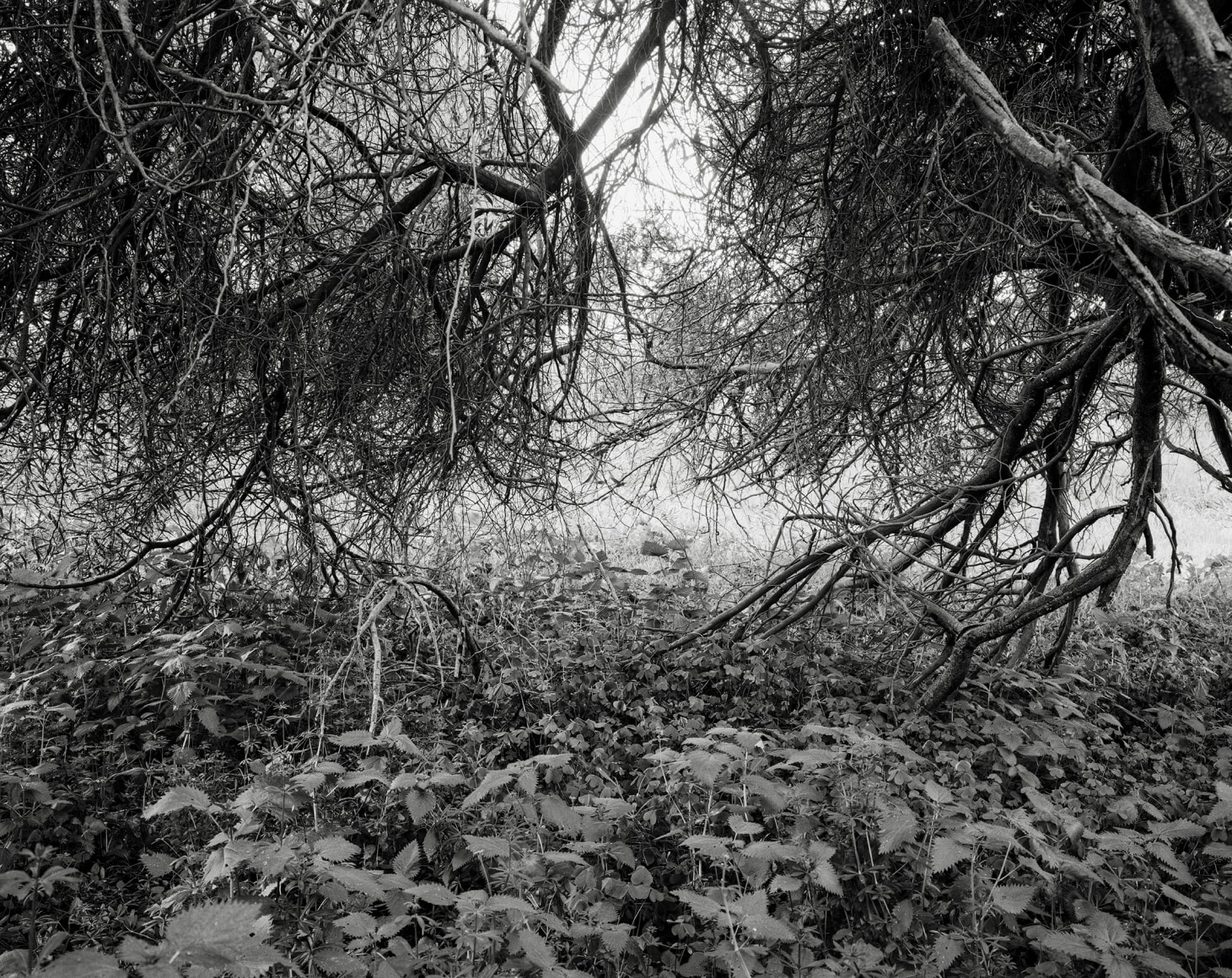 Hideout, 2023-24, Inkjet print, 68.5 x 80 cm