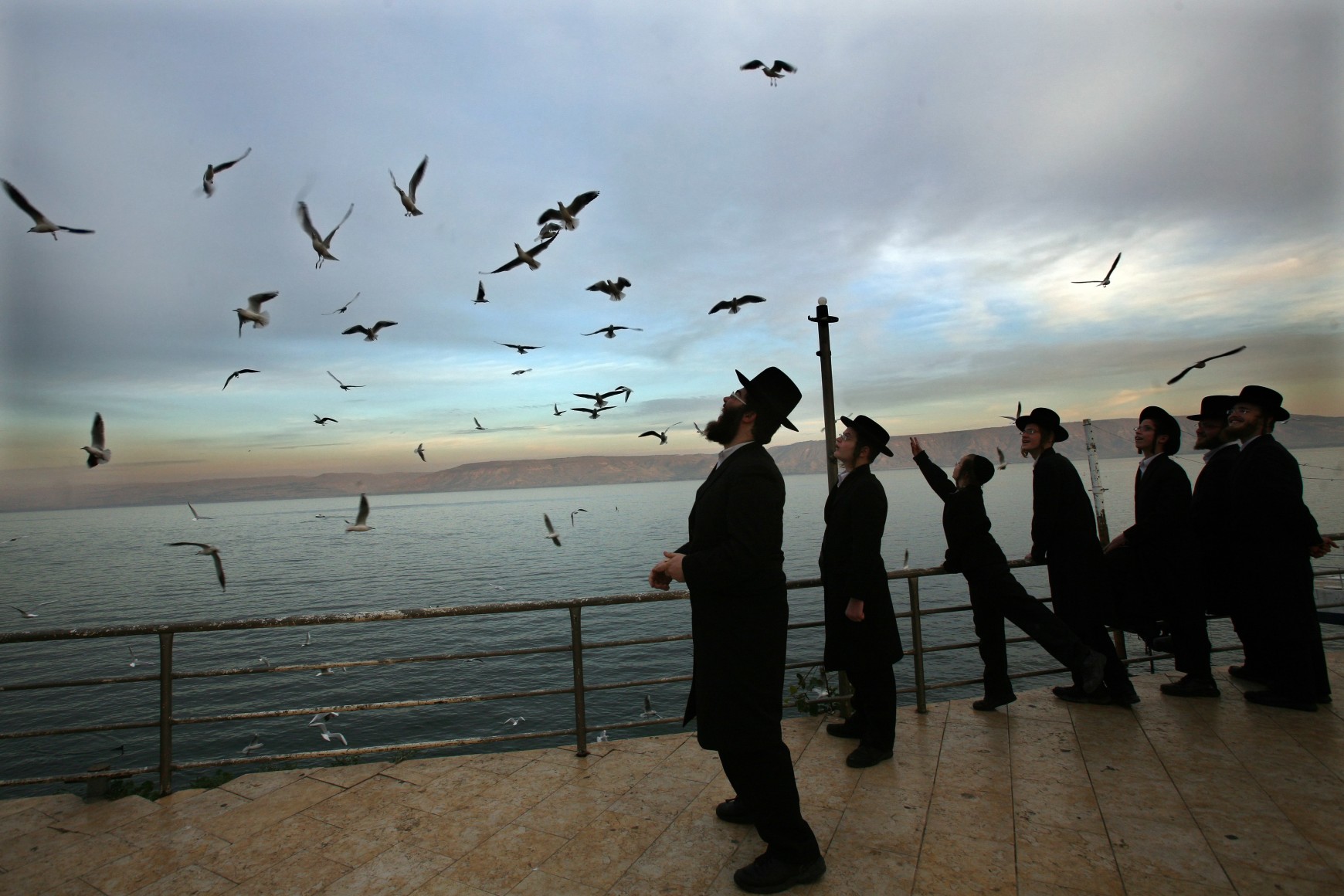 RINA CASTELNUOVO, Sea of Galilee, 2008