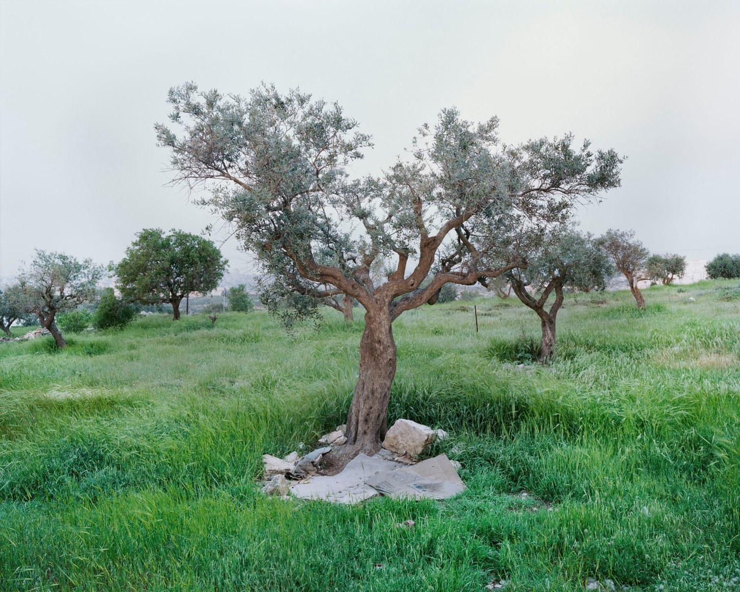 End of Hebron Road, 2019-2023, Inkjet print, 142 x 180 cm