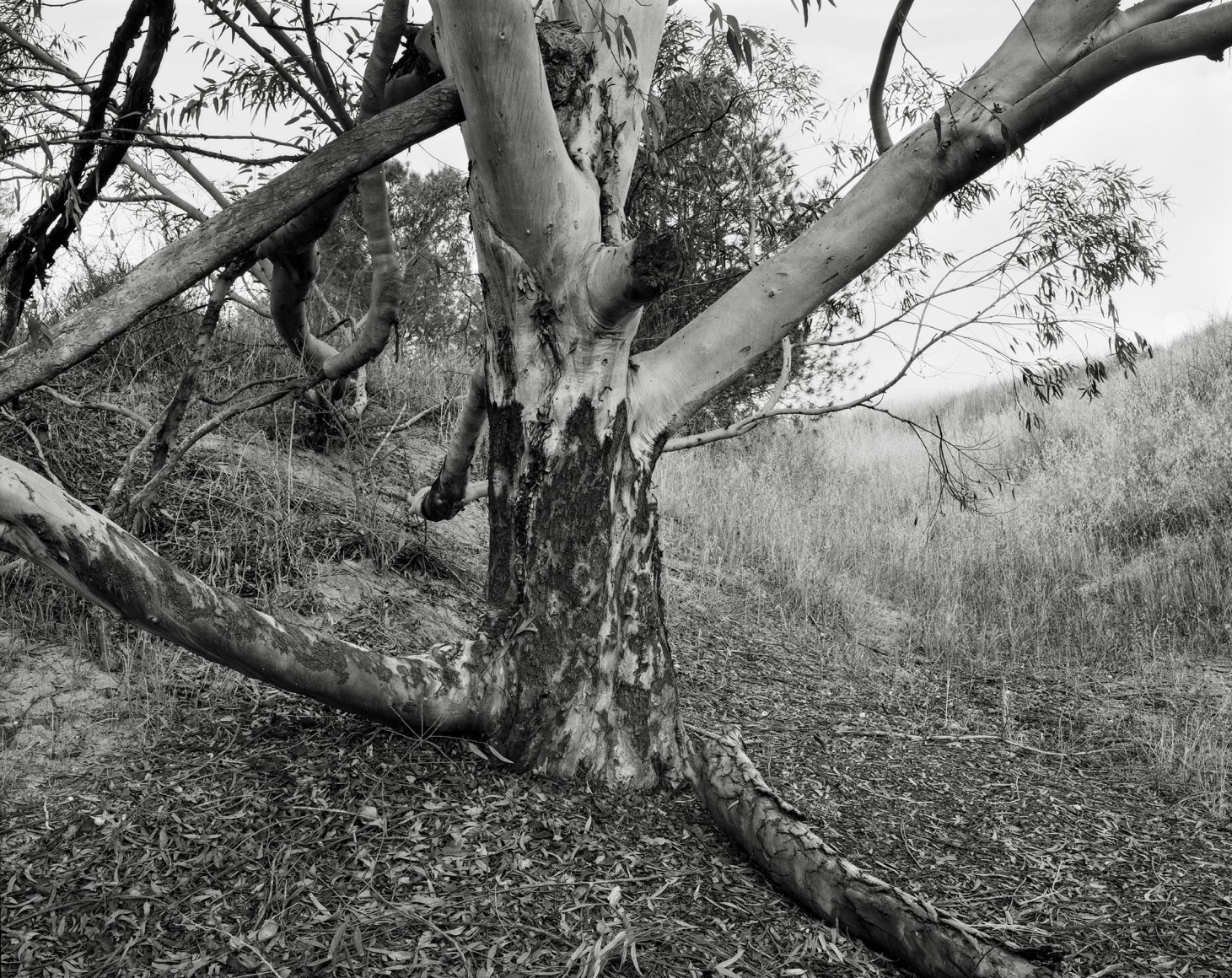 Hideout, 2023-24, Inkjet print, 68.5 x80 cm