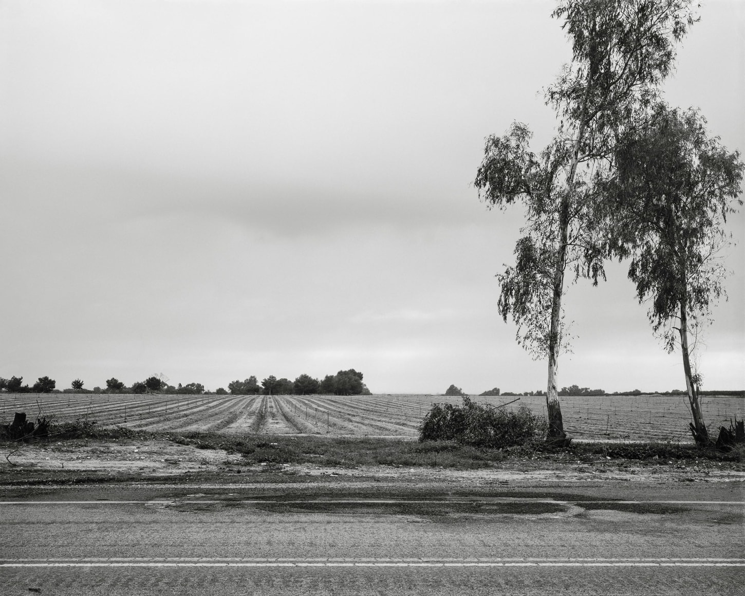 Highway 232, 2023, Inkjet print, 33.6 x 42 cm