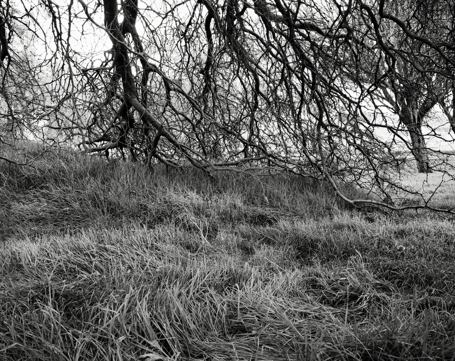Hideout, 2023-24, Inkjet print, 68.5 x 80 cm