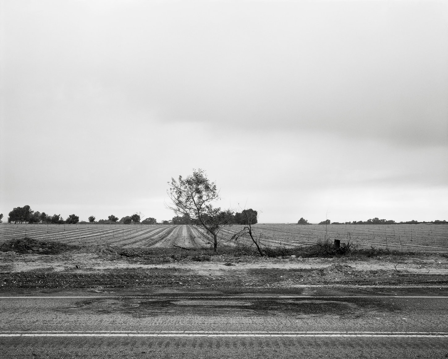 Highway 232, 2023, Inkjet print, 33.6 x 42 cm