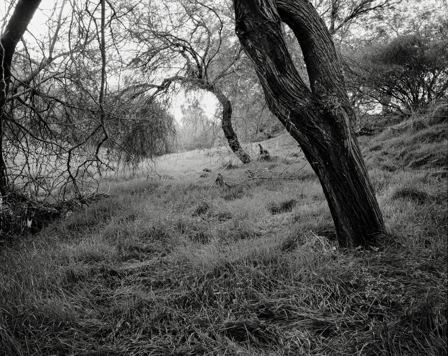Hideout, 2023-24, Inkjet Print, 68.5 x 80 cm