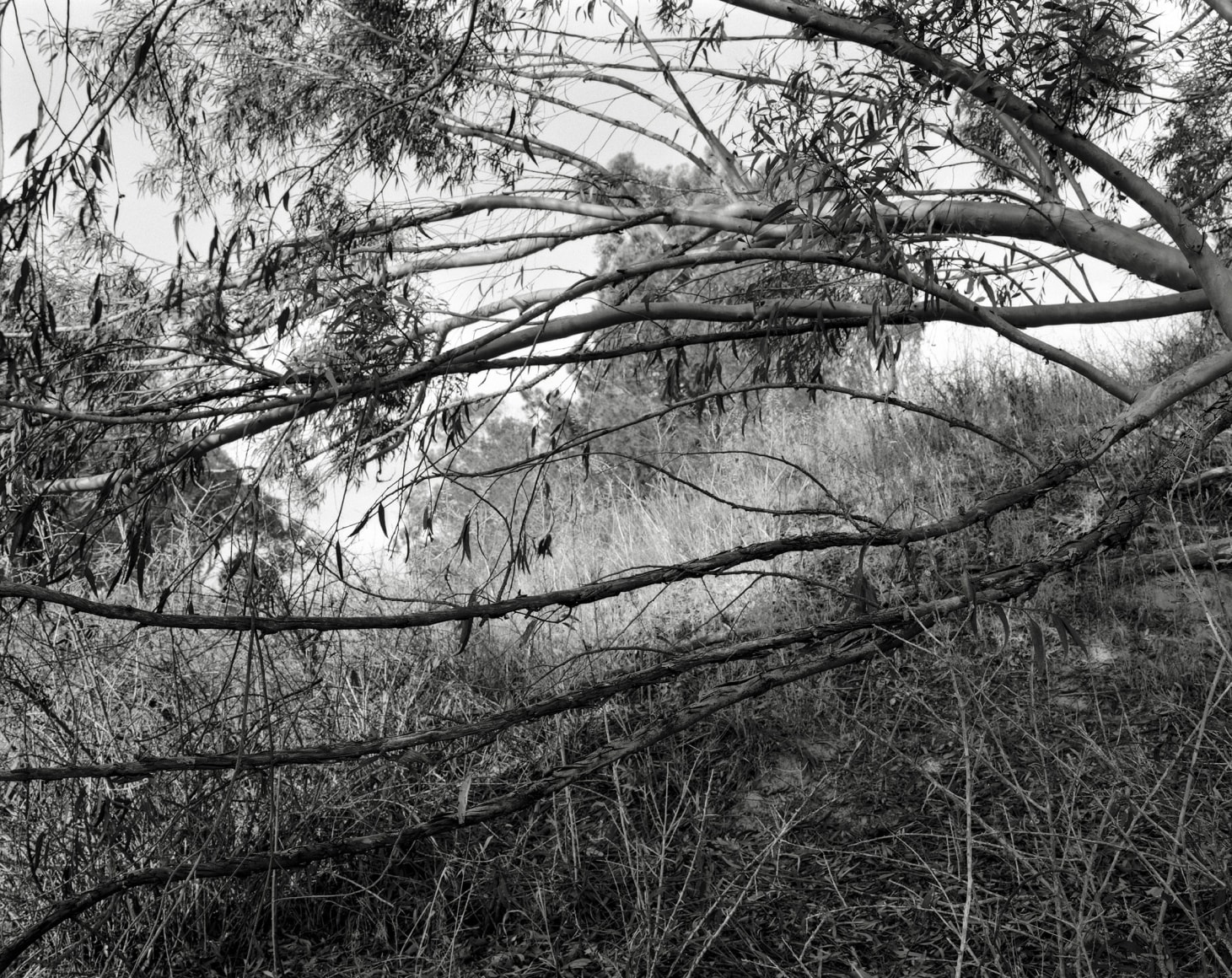 Hideout, 2023-24, Inkjet print, 68.5 x 80 cm