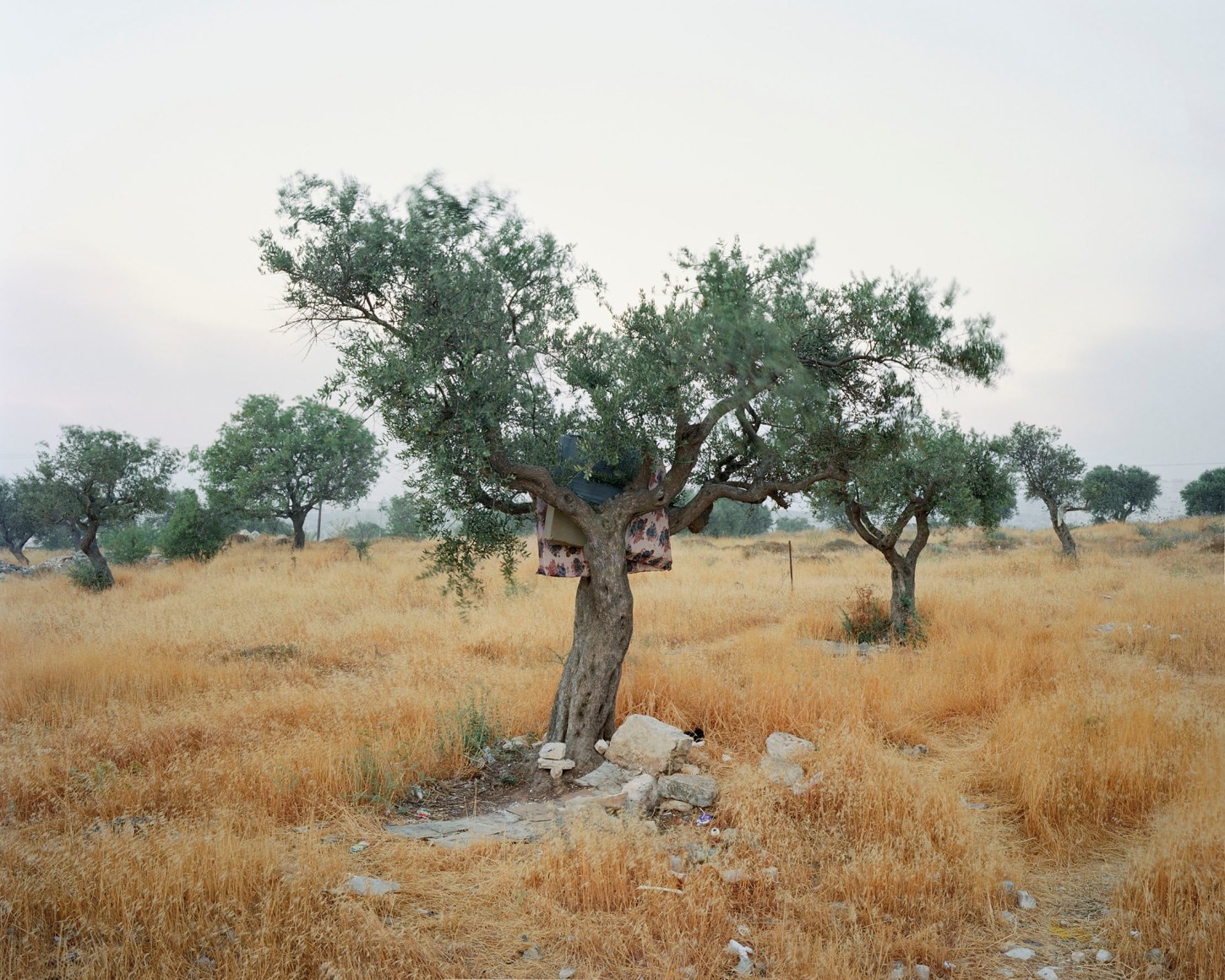 End of Hebron Road, 2019-2023, Inkjet print, 142 x 180 cm