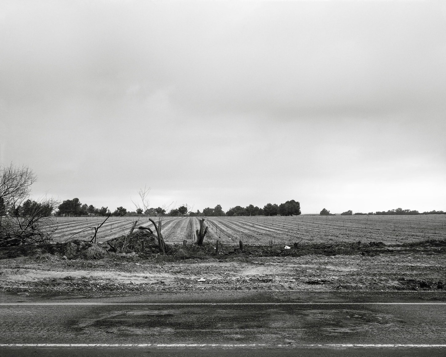 Highway 232, 2023, Inkjet print, 33.6 x 42 cm