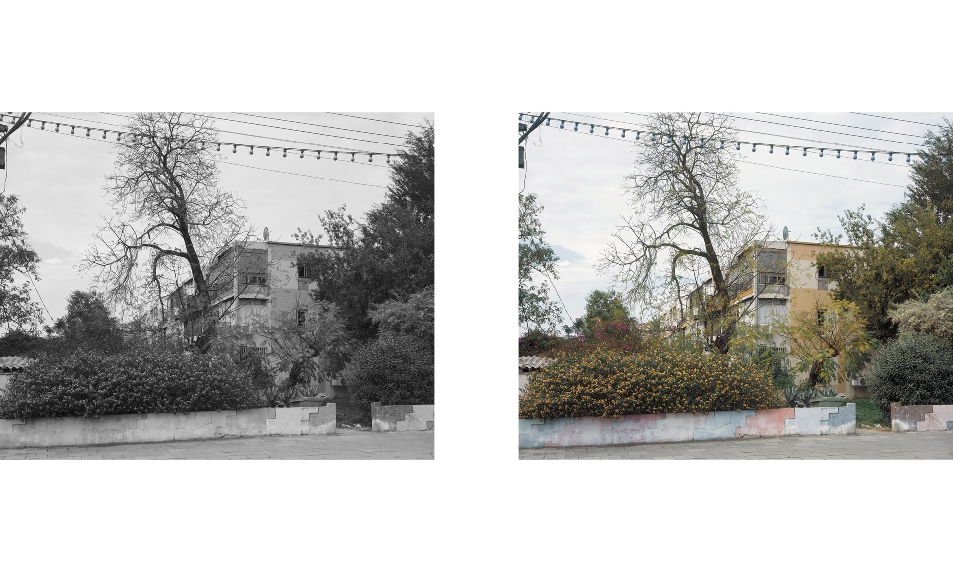 SHARON YA&#039;ARI, Jerusalem Blvd., diptych,&nbsp;2009