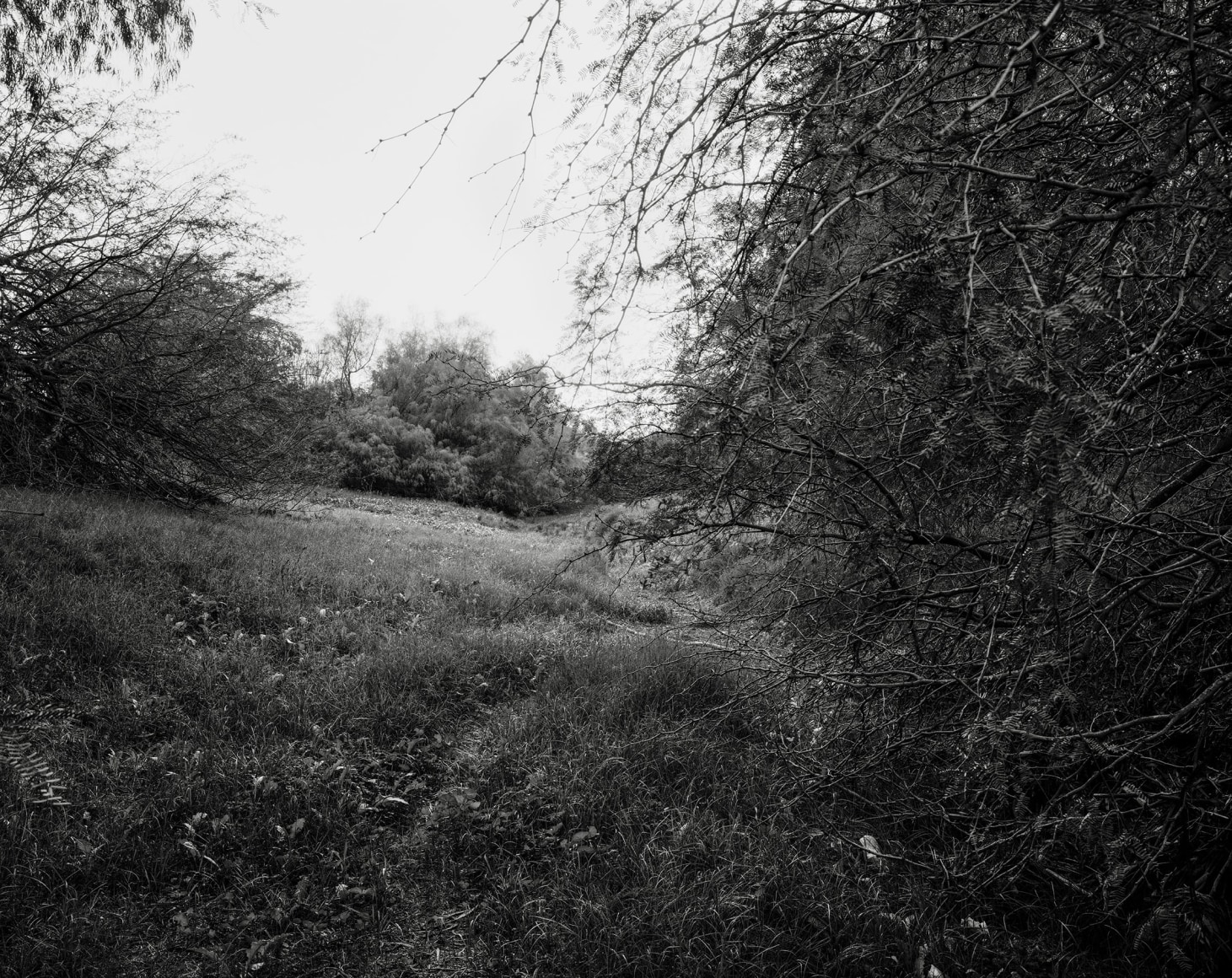 Hideout, 2023-24, Inkjet print, 68.5 x 80 cm