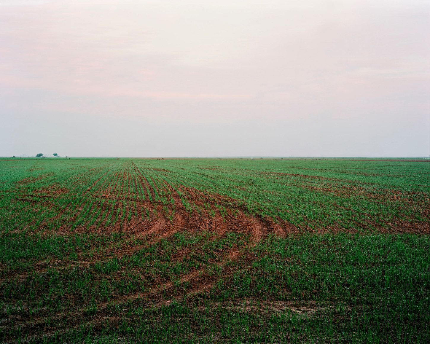 East to West, 2024, Inkjet print, 160 x 200 cm