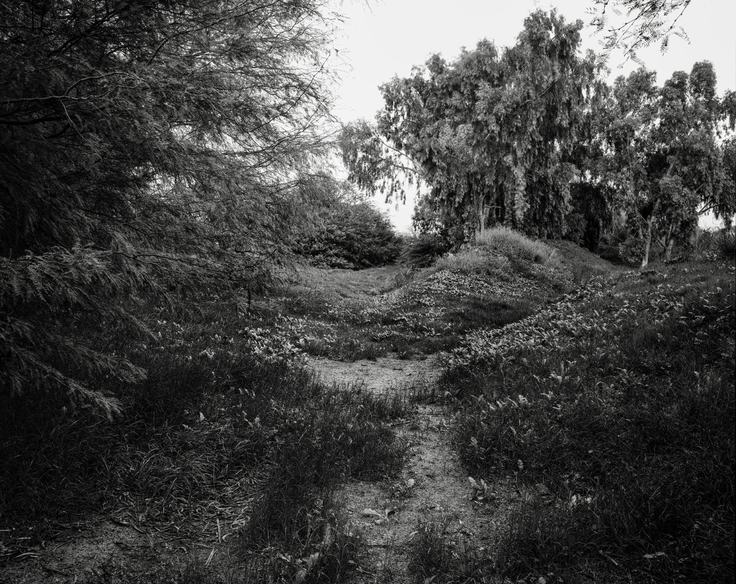 Hideout, 2023-24, Inkjet print, 68.5 x 80 cm