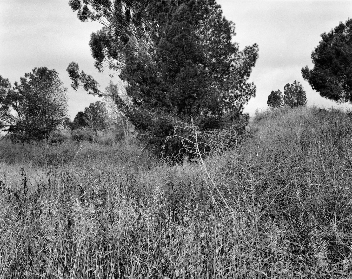 Hideout, 2023-24, Inkjet print, 68.5 x 80 cm