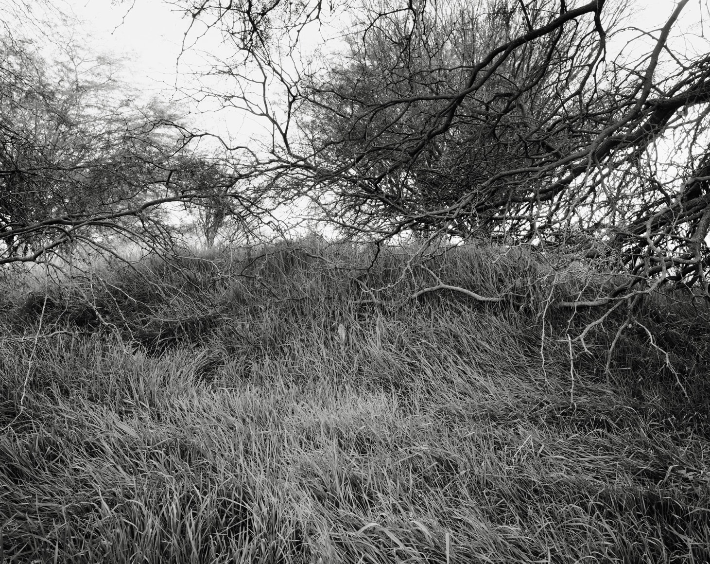 Hideout, 2023-24, Inkjet print, 68.5 x 80 cm