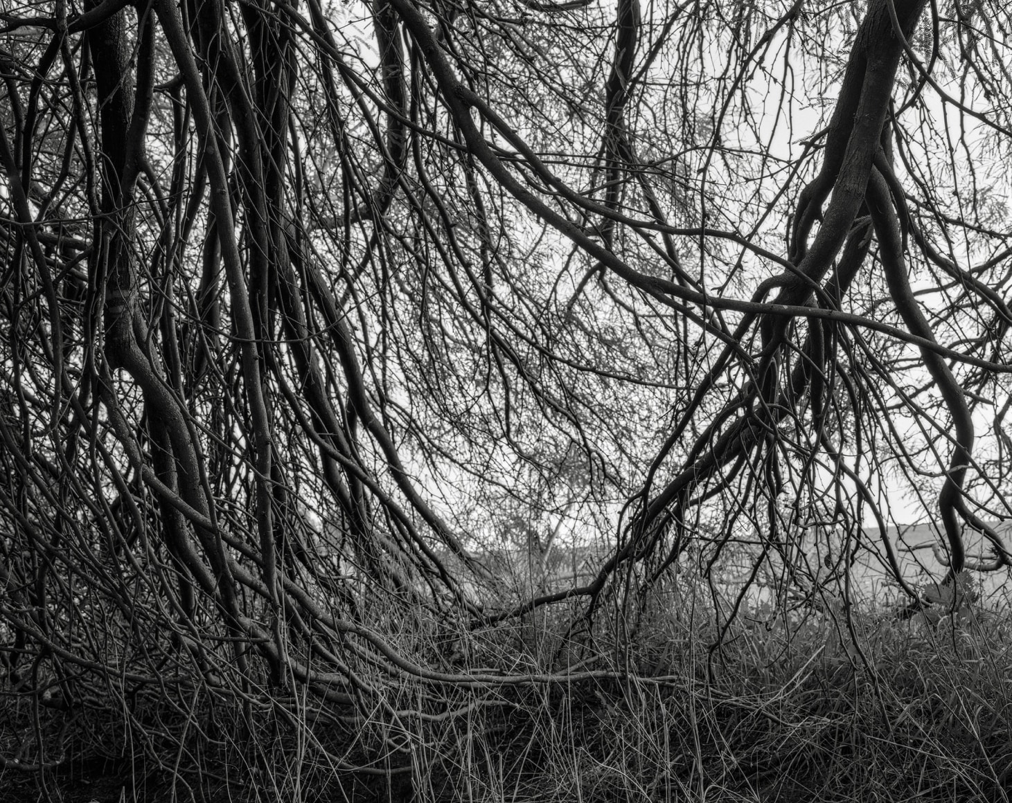 Hideout, 2023-24, Inkjet print, 68.5 x 80 cm