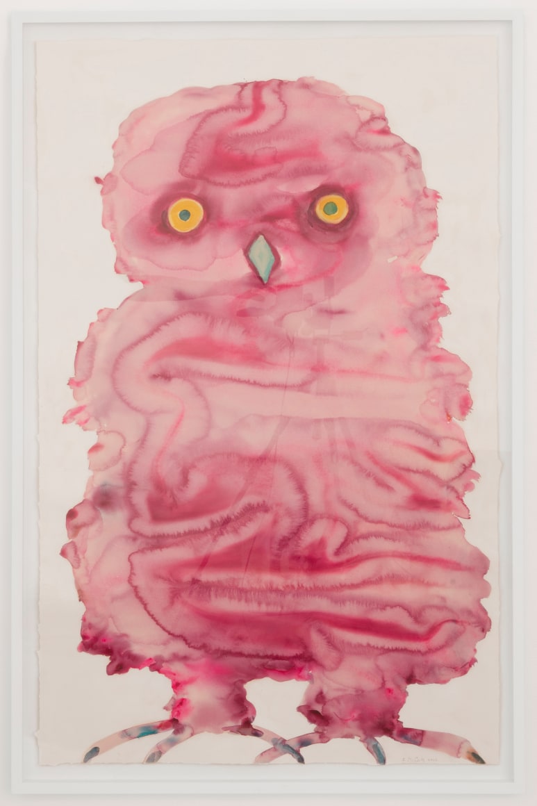 Kim McCarty, Pink Owl, 2022