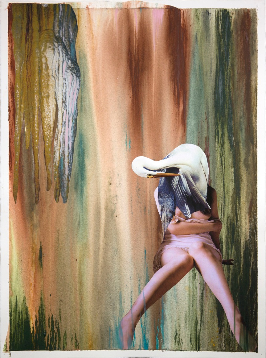 Becoming the White Heron, 2015