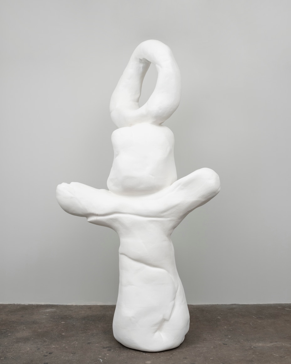 Anuar Maauad, WE ARE BODIES #19, 2022