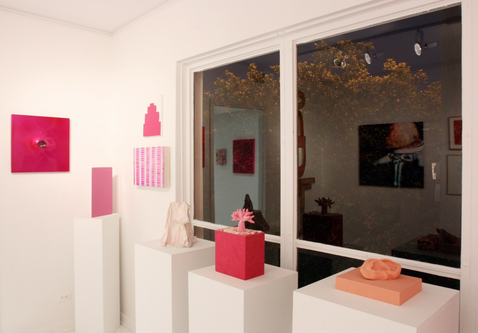 Installation view, Think Pink, 2010
