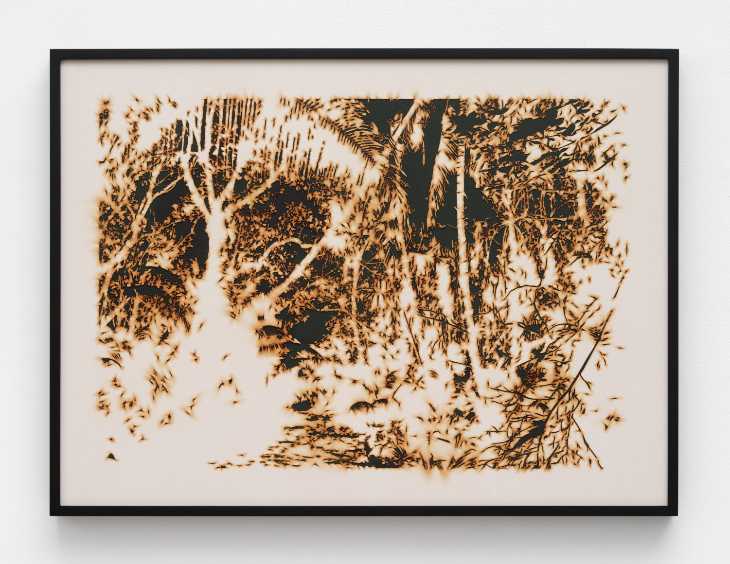 Teresita Fernandez, Puerto Rico (Burned), 2022