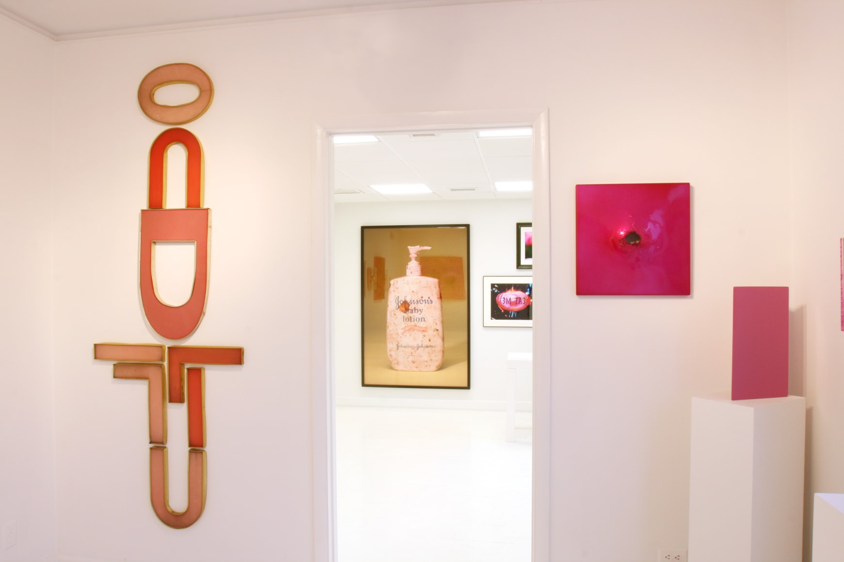 Installation view, Think Pink, 2010