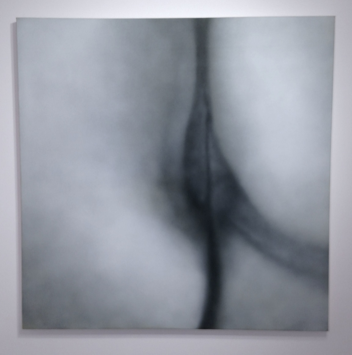 p.p1 {margin: 0.0px 0.0px 0.0px 0.0px; font: 12.0px Tahoma; color: #4b4b4b}