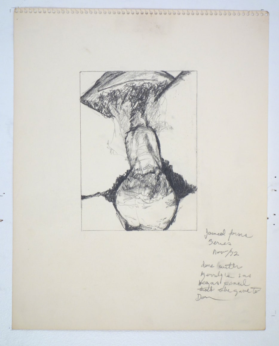 Betty Tompkins Fuck Drawing November 1972, 1972